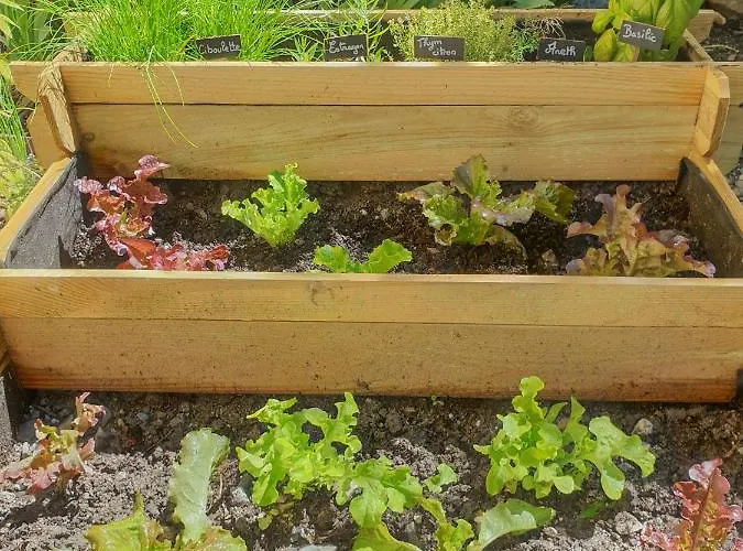 Les Bartavelles Bed & Breakfast Jausiers