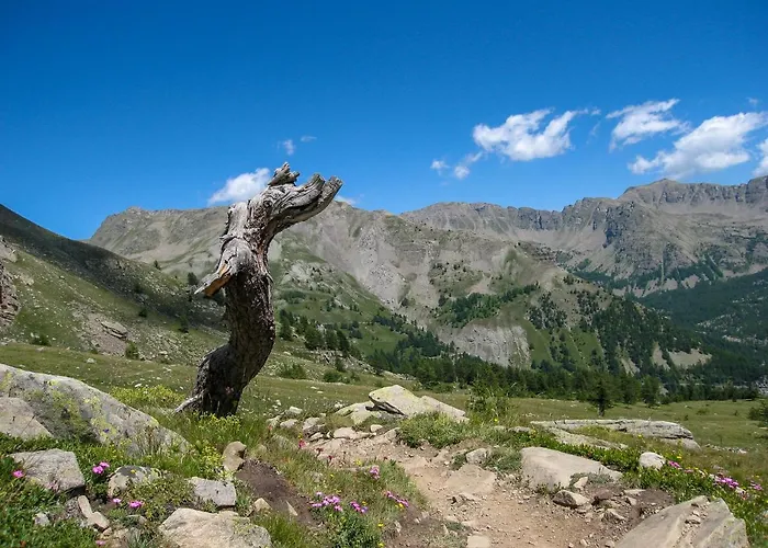 Les Bartavelles Bed & Breakfast 3*