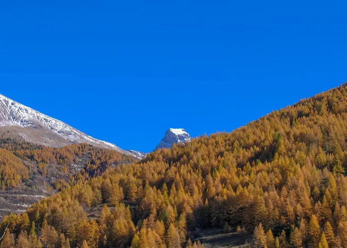 Bed & Breakfast Les Bartavelles 3*